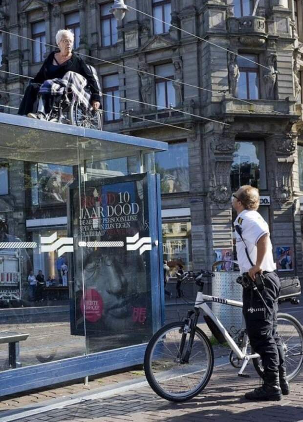 самые нелепые фотографии 