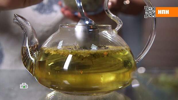 Смертельно опасны: как отличить полезные травы от их ядовитых двойников