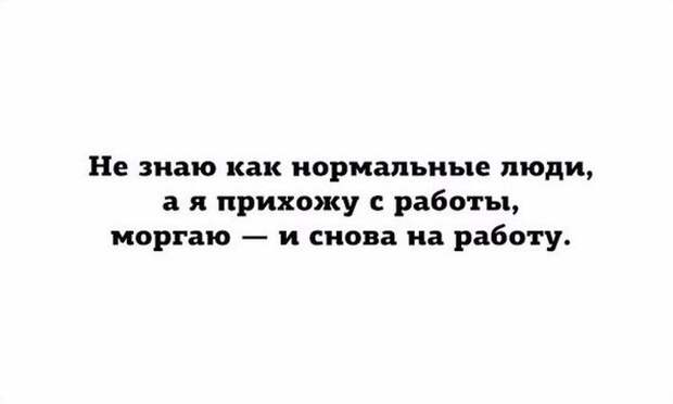 Прикольные картинки. Вечерний выпуск картинки, прикол, фото, юмор