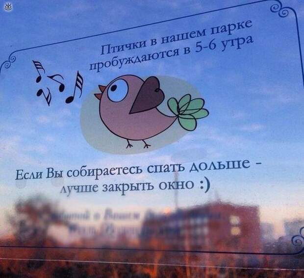 Остроумие и маразм в словах 35