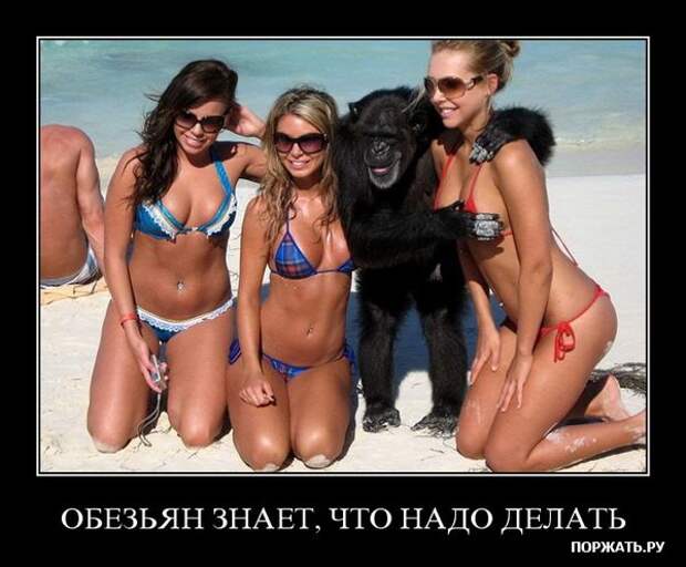 demotivator