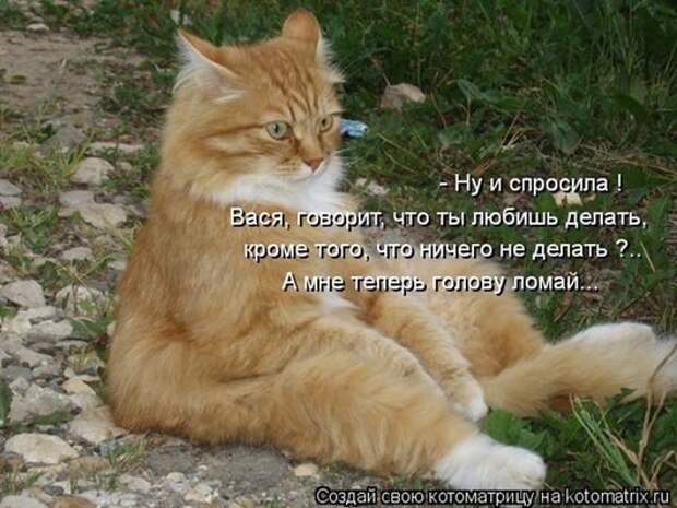 1345799774_kotomatricy-2