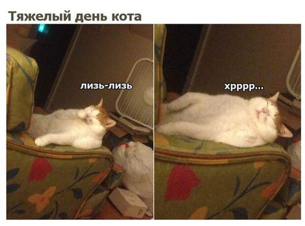Подборка прикольных и веселых картинок с надписью со смыслом (10 фото)