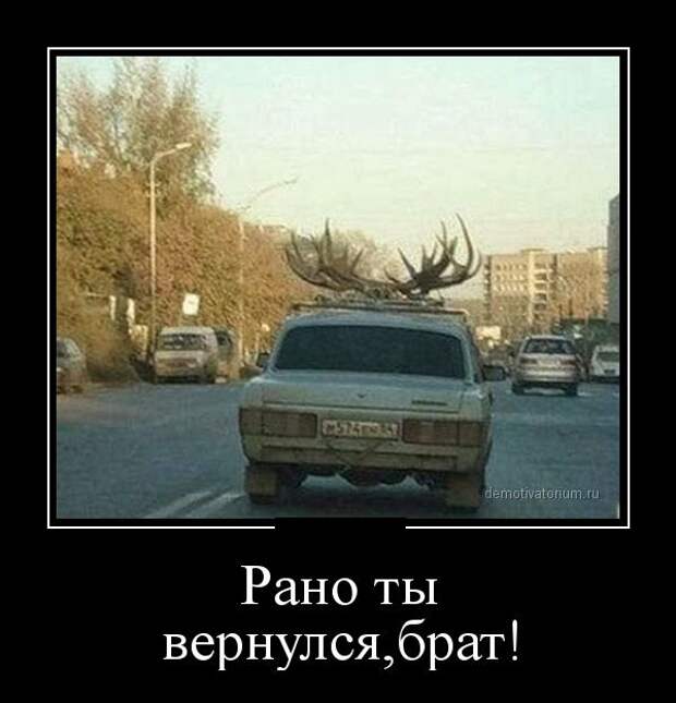 Демотиваторы (30 фото) Демотиваторы (30 фото)