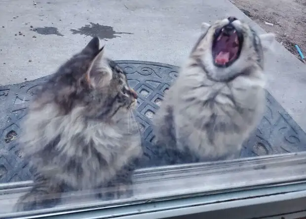 ���� � ������� ��� �������� ���������� � ���� ��������