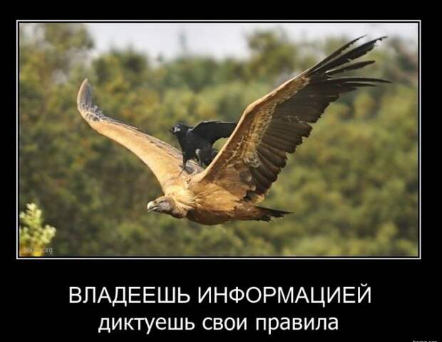Демотиваторы (39 фото)