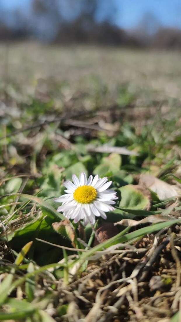 Доброе утро! И хорошего дня!