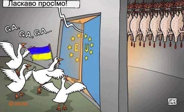 Политика: США устроит даже Западная Украина – главное, чтобы была антирусской