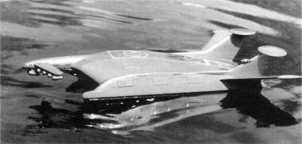 19303978.jpg 19303978.jpg