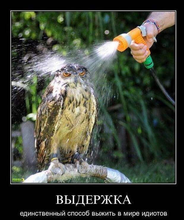 Демотиваторы (30 фото)