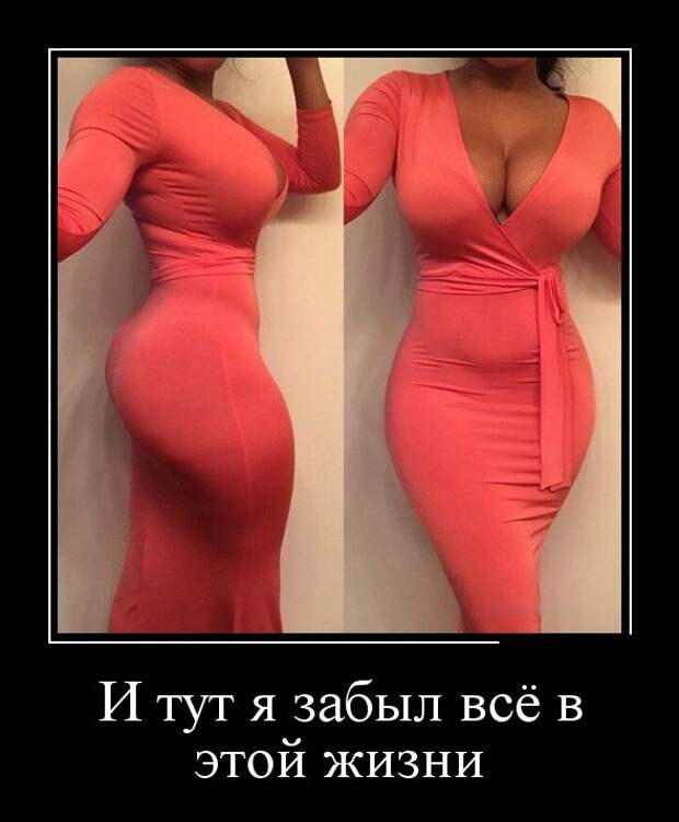 Пятничная подборка демотиваторов  демотиватор, юмор