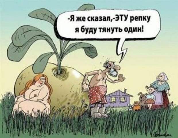 Прикольные фотки (35 фото)
