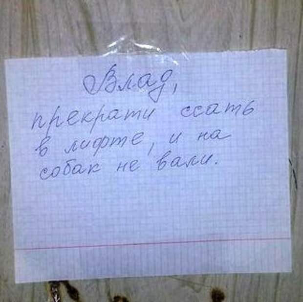 Возьми сосед. Надписи в подъезде про любовь. Соседи обсуждают. Надпись в подъезде люблю. Сосед берет много.