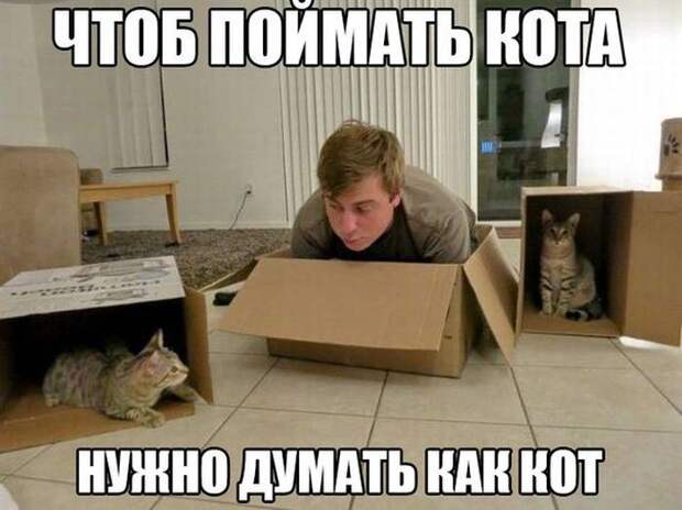 1440840965-71b3a4385ecd14f8c23aa82ce3db488d