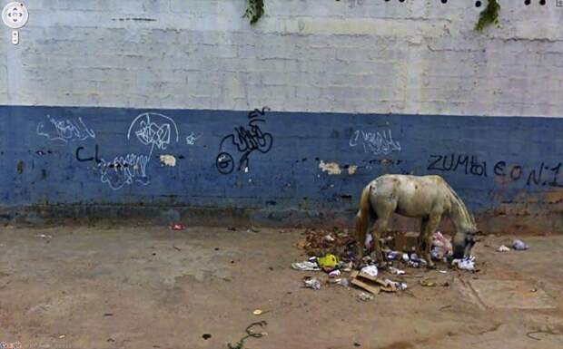 Google street view (25)