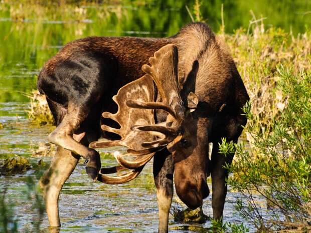 noted-for-world-renowned-trout-fishing-grand-teton-national-park-wyoming-offers-miles-of-hiking-trails-climbing-routes-as-well-as-scenic-drives