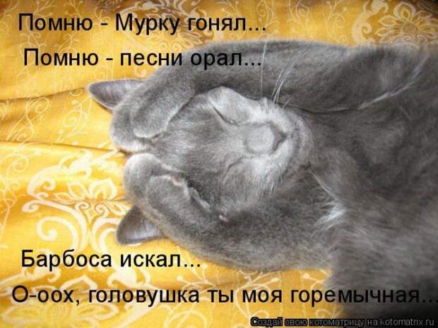 Мысли вслух :)