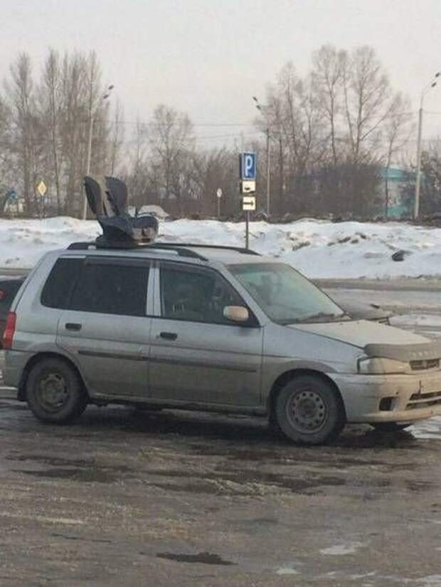 Прикольные картинки