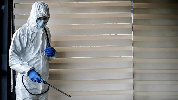 В Ленобласти проведут санобработку учебных заведений