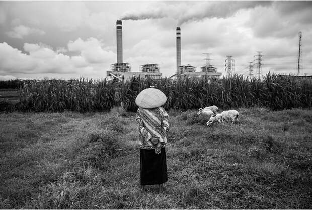 Конференция по климату в Париже: красноречивые фотографии, посвященные изменению климата