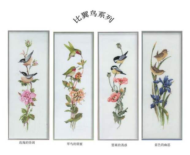 цветы, птицы