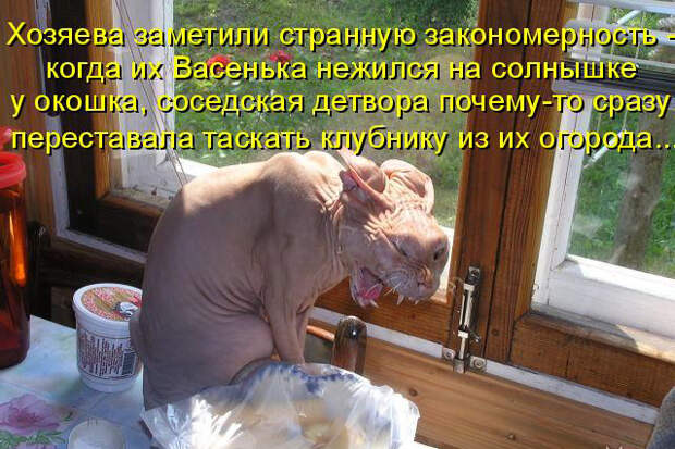 5 (700x506, 328Kb)