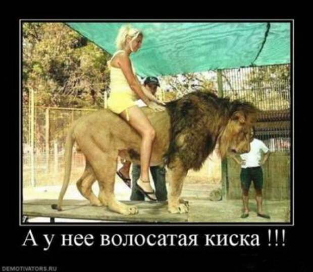 Демотиваторы новые смешные.