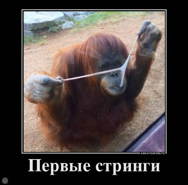 Не жадничай! 8