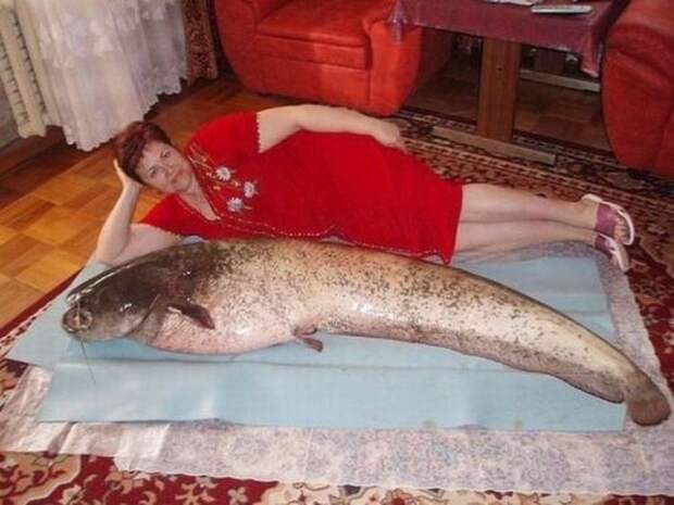 25 необъяснимых фотографий с сайтов знакомств знакомства, россия, сайт, юмор