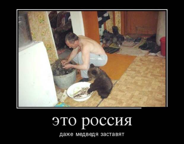 Демотиваторы (30 фото)