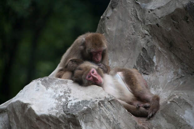 8. Когда твой молодой человек не понимает, почему ты не можешь повеселиться на этих выходных 8. Когда твой молодой человек не понимает, почему ты не можешь повеселиться на этих выходных гримаса, женщина, жизнь, критические дни