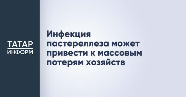Инфекция пастереллеза может привести к массовым потерям хозяйств