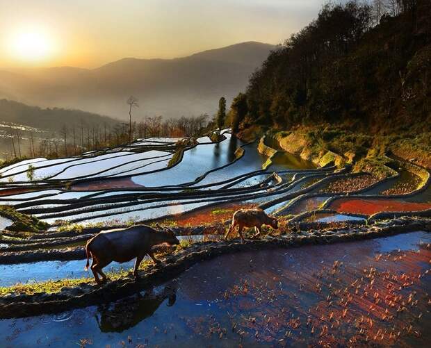 Такая чарующая Азия азия, фото