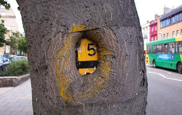 Деревья едят вещи Деревья едят вещи