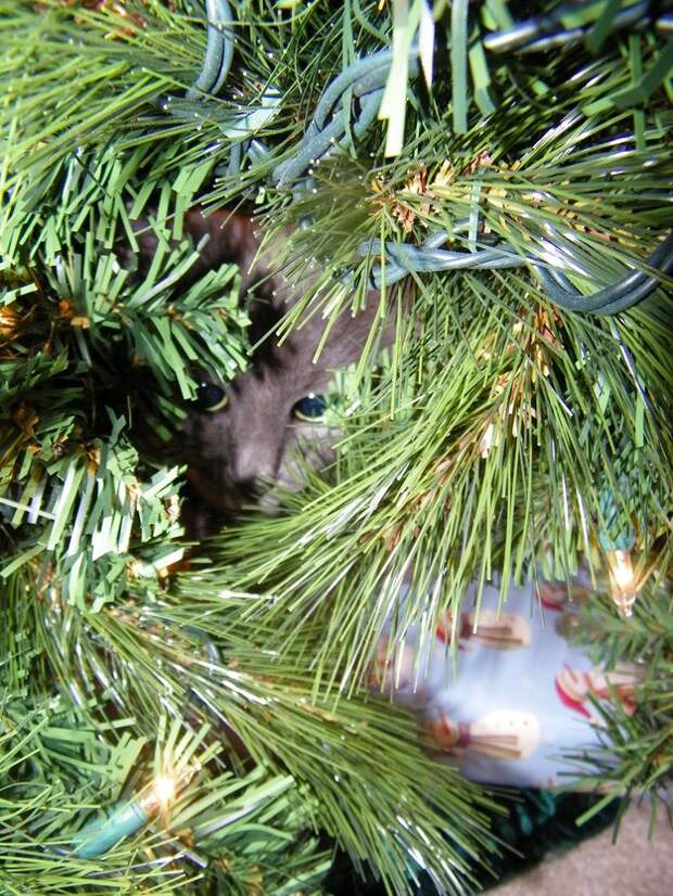 коты новогодние украшения (9)