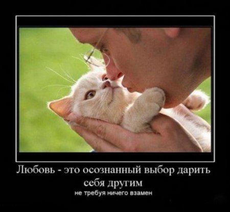 демотиваторы о любви, большая подборка.