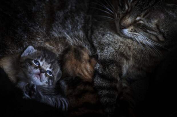 20 душевных фотографий