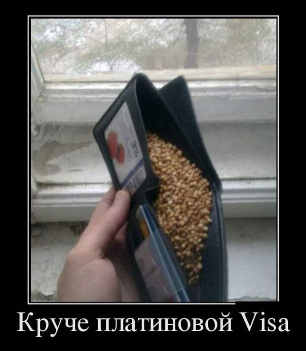 Демотиваторы бревно, демотиваторы, юмор