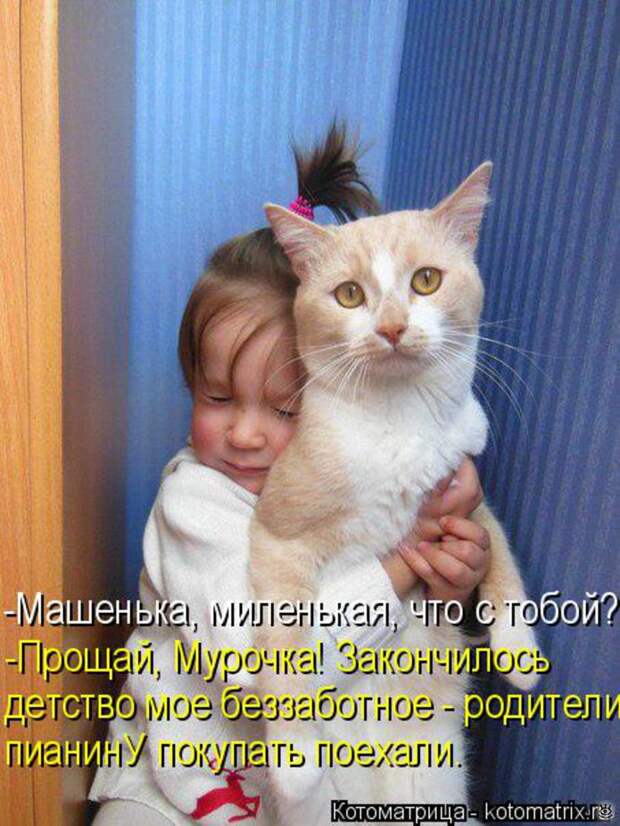 Чудная котоматрица 0