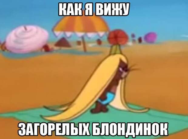 Смешные картинки с подписями катинки, прикол, юмор