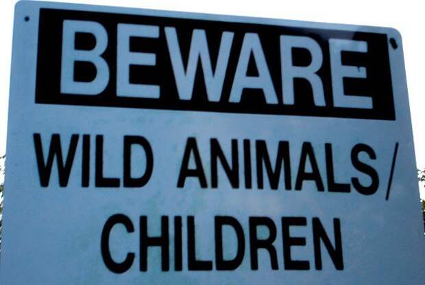 18. Остерегайтесь диких животных/детей знак, мир, юмор