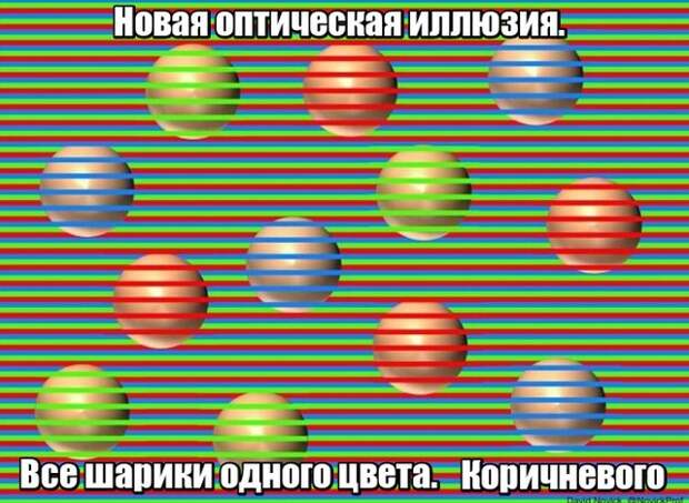 Фотоподборка понедельника (30 фото)