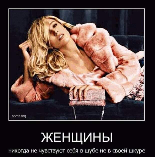 Демотиваторы (45 фото) Демотиваторы (45 фото)