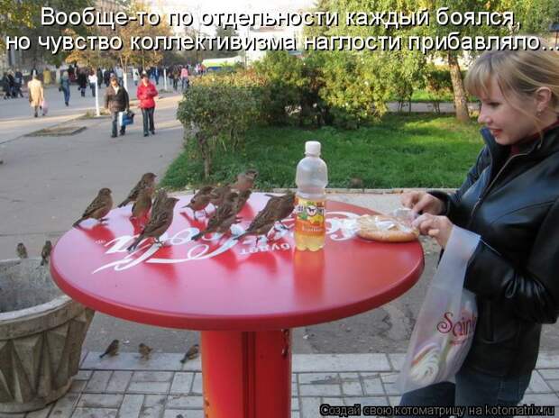 Вообще-то по отдельности каждый боялся, но чувство коллективизма наглости прибавляло...
