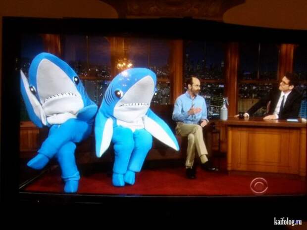 Приколы на телевидении (40 фото)
