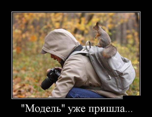 Демотиваторы (30 фото)