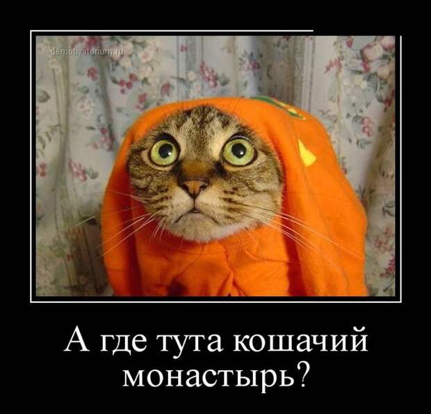 Демотиваторы №1109 (30 фото)