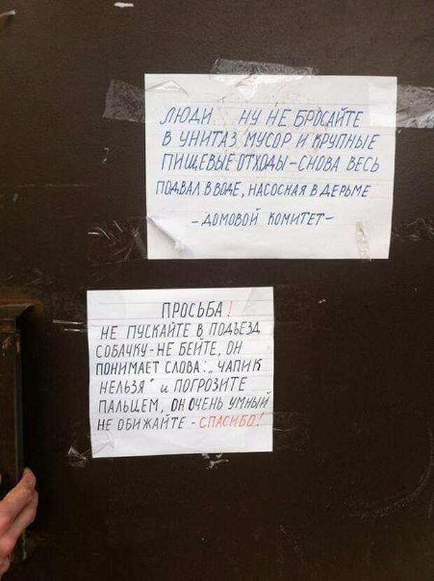 Смешная переписка между соседями