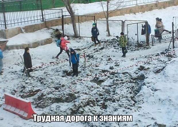 Картинки, юмор, приколы