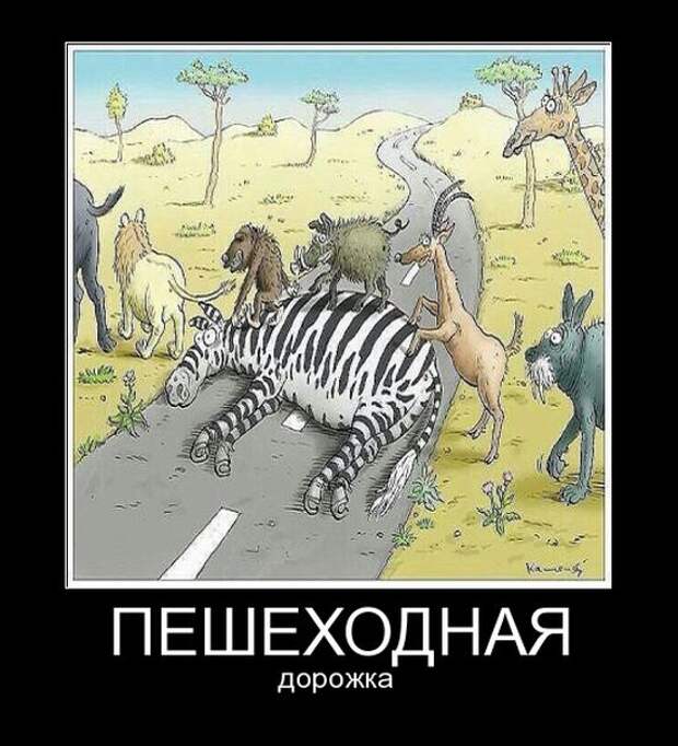 Демотиваторы Демотиваторы демотиваторы, юмор